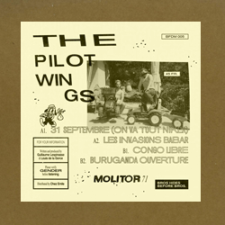 The Pilotwings, Molitor 71