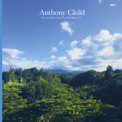 Anthony Child, Electronic Recordings From Maui Jungle, Vol 2