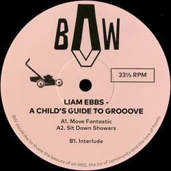 Liam Ebbs, A Child's Guide To Groove