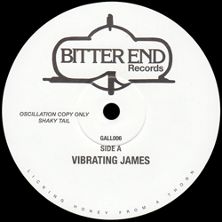 UNKNOWN ARTISTS, Vibrating James / The House
