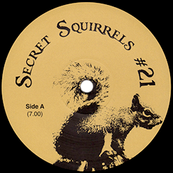 Secret Squirrel, Secret Squirrels #21