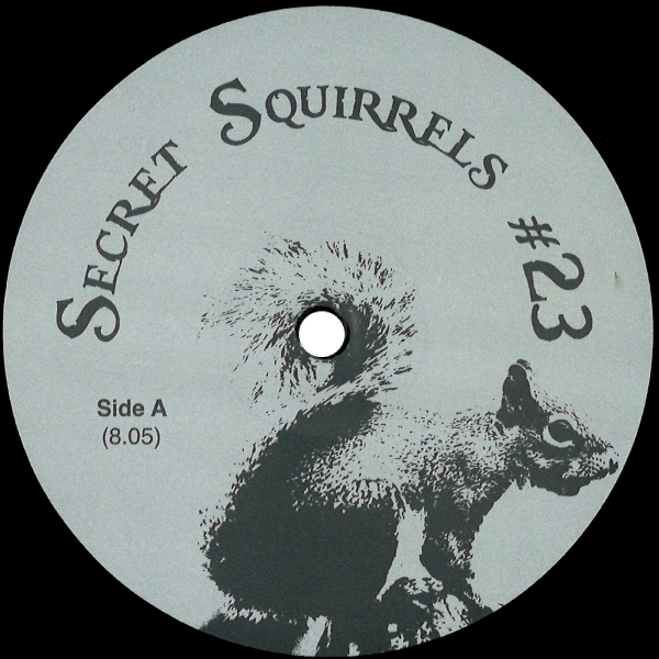 Secret Squirrel, Secret Squirrels #23