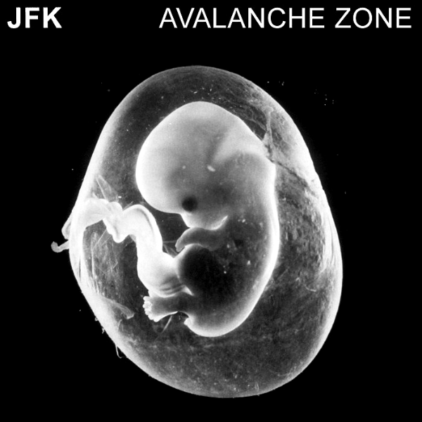 Jfk, Avalanche Zone