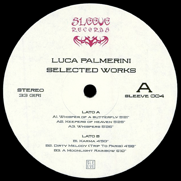 Luca Palmerini, Selected Works