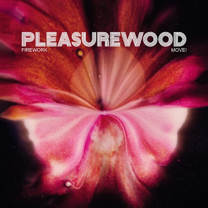 Pleasurewood, Firework / Move!