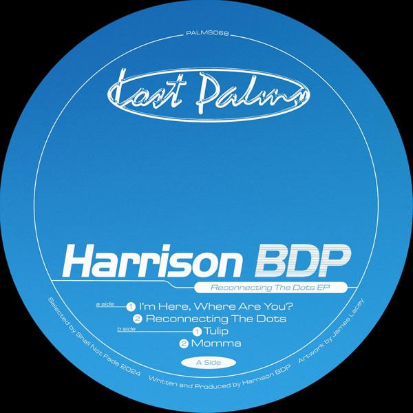 Harrison Bdp, Connecting The Dots EP