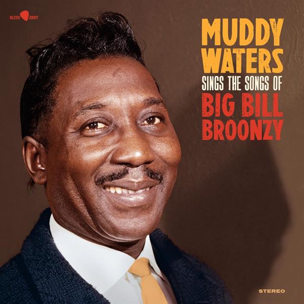 Muddy Waters, Muddy Waters Sings The Songs Of Big Bill Broonzy