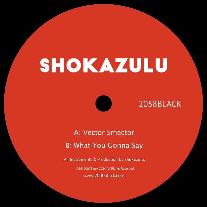 Shokazulu, Vector Smector / What You Gonna Say