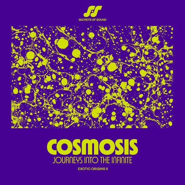 VARIOUS ARTISTS, Cosmosis: Journeys Into The Infinite