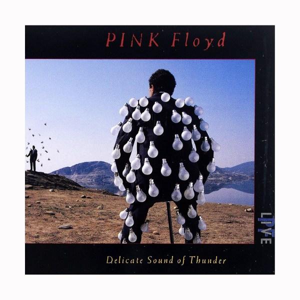 Pink Floyd, Delicate Sound Of Thunder