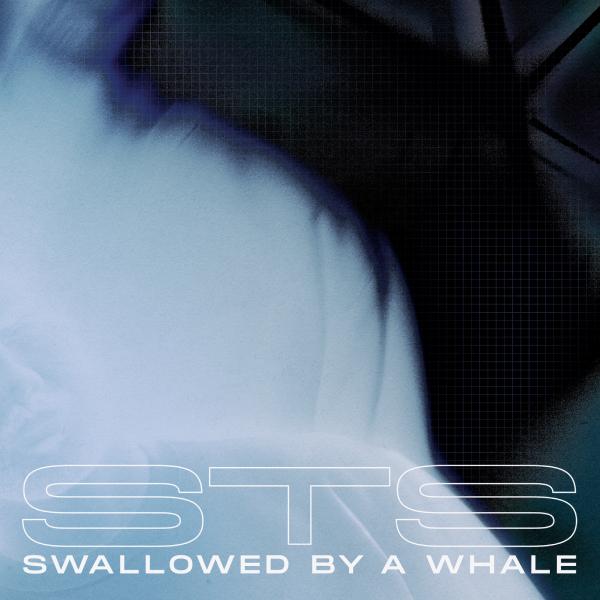 Sts, Swallowed By A Whale