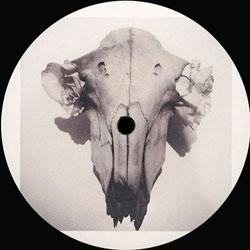 SESSION VICTIM / Medlar / Squarehead, Wolf Ep 018